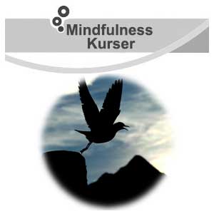 Mindfulness kursus Online - The Balance In Mind